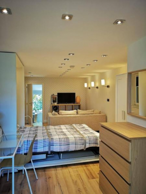 Chalet-Studio furnished 35 sqm - Independant access